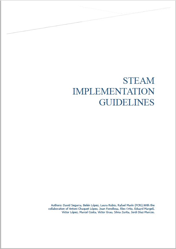 STEAM Implementation Guidelines